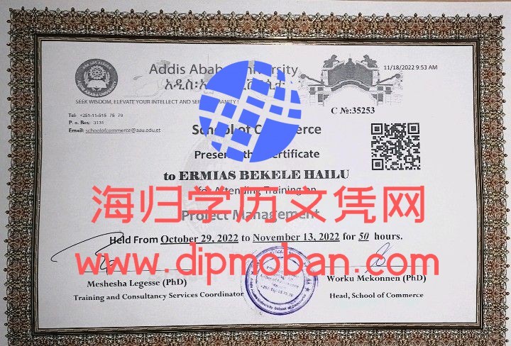 亚的斯亚贝巴大学 亚的斯亚贝巴大学