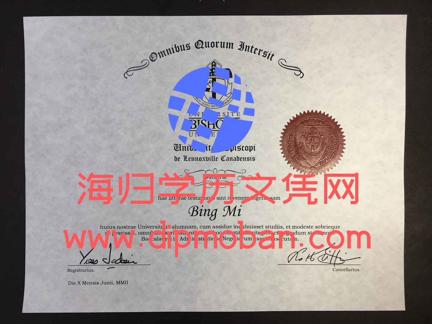 加拿大主教大学