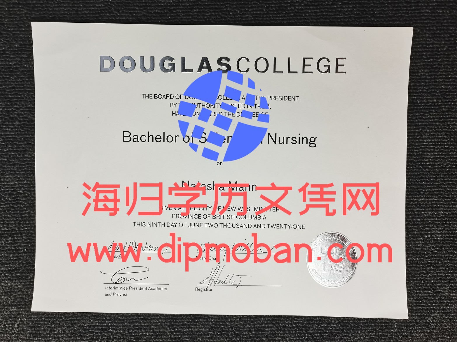 加拿大道格拉斯学院 加拿大道格拉斯学院