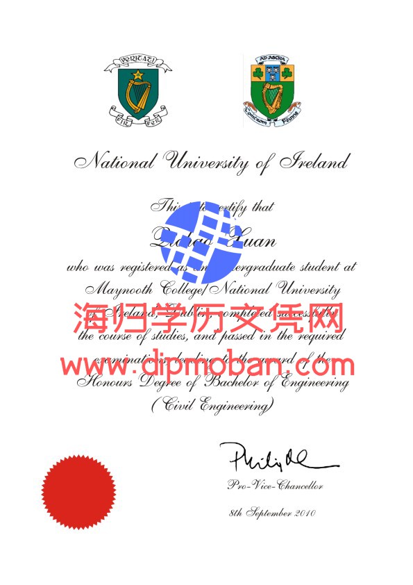 国立爱尔兰大学梅努斯学院