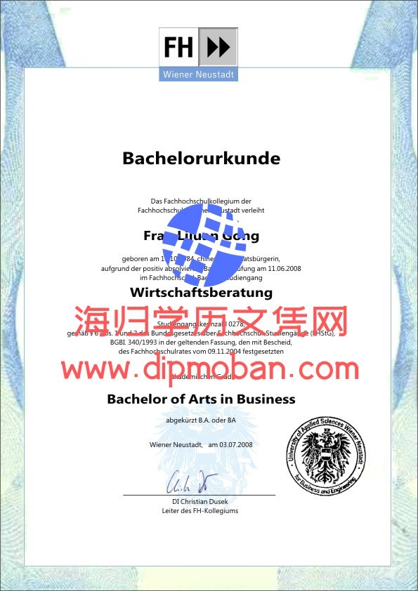 奥地利新城经济与科技应用技术大学 奥地利新城经济与科技应用技术大学