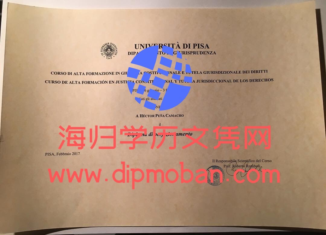 意大利比萨大学 意大利比萨大学