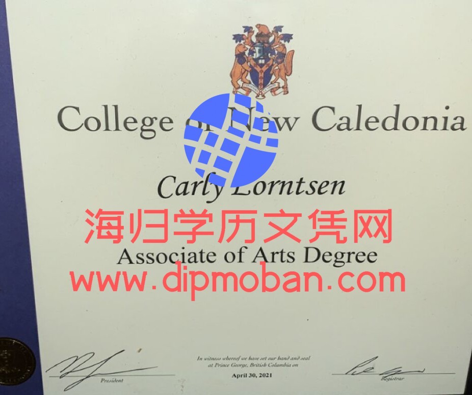 新喀里多尼亚学院 新喀里多尼亚学院