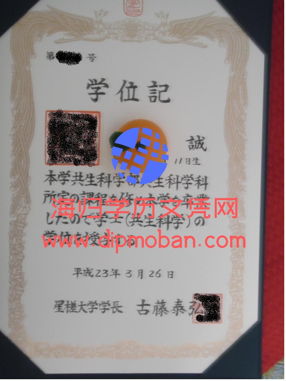 日本星槎大学 日本星槎大学