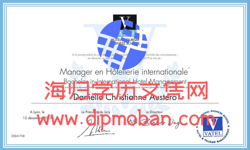 法国国际商学院