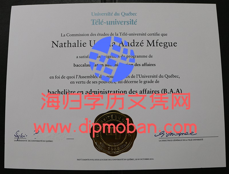 法国魁北克大学