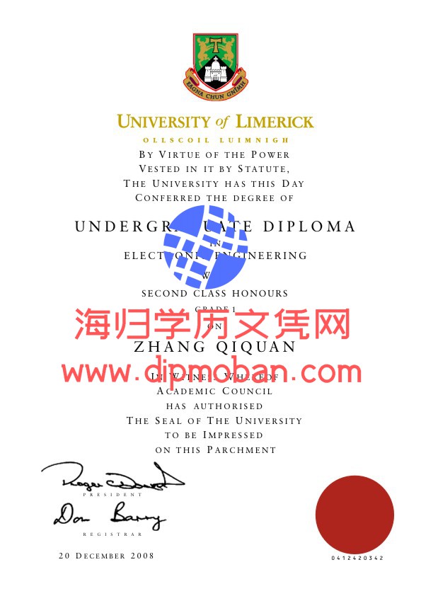 爱尔兰利莫瑞克大学
