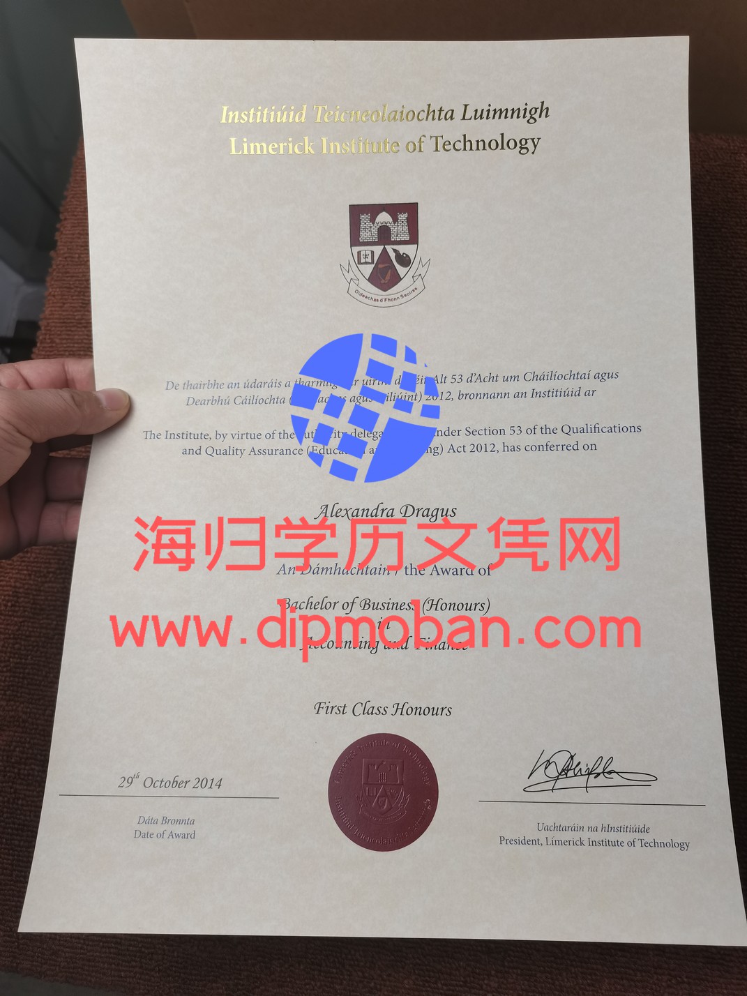 爱尔兰利莫瑞克理工学院