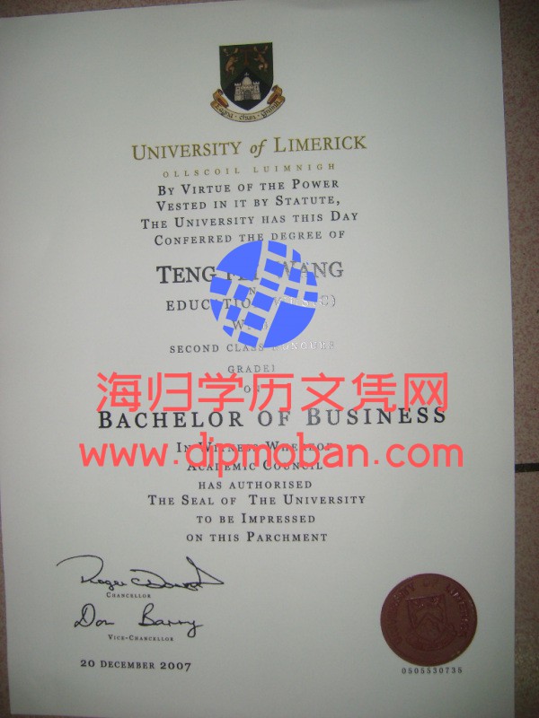 爱尔兰利默瑞克大学