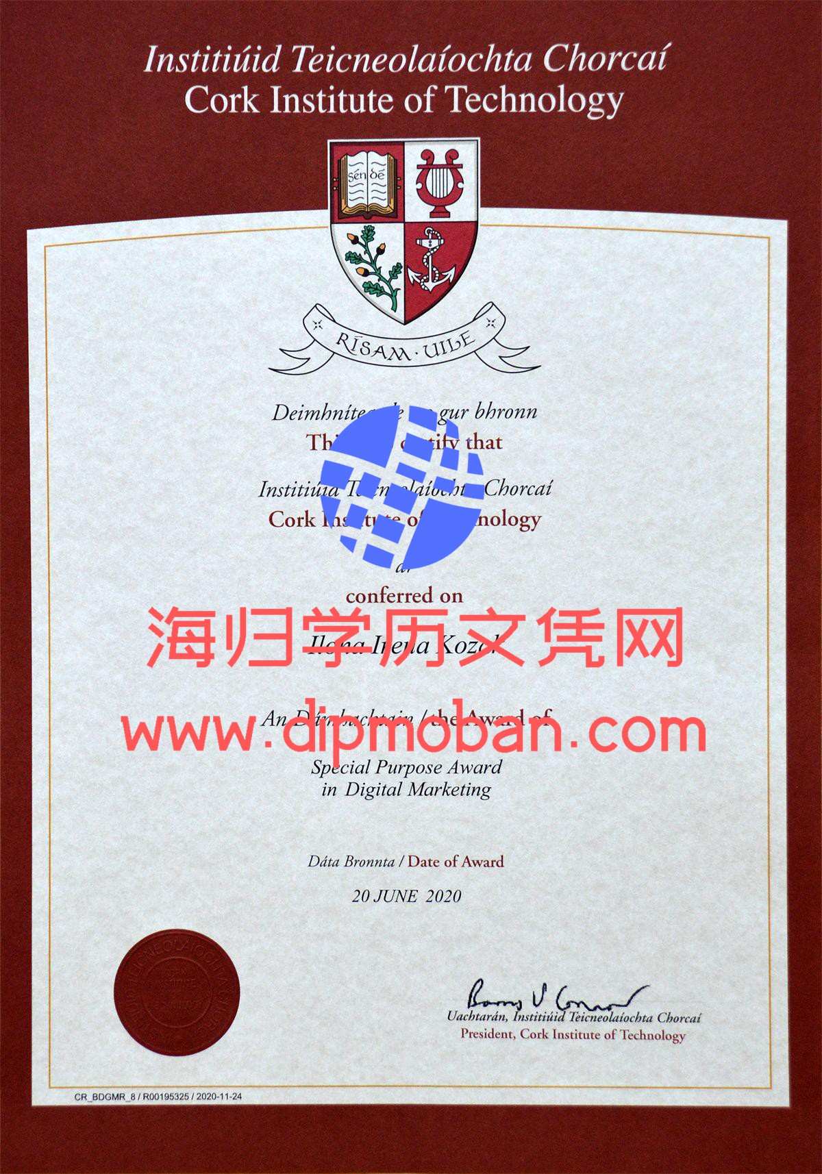 爱尔兰科克理工学院