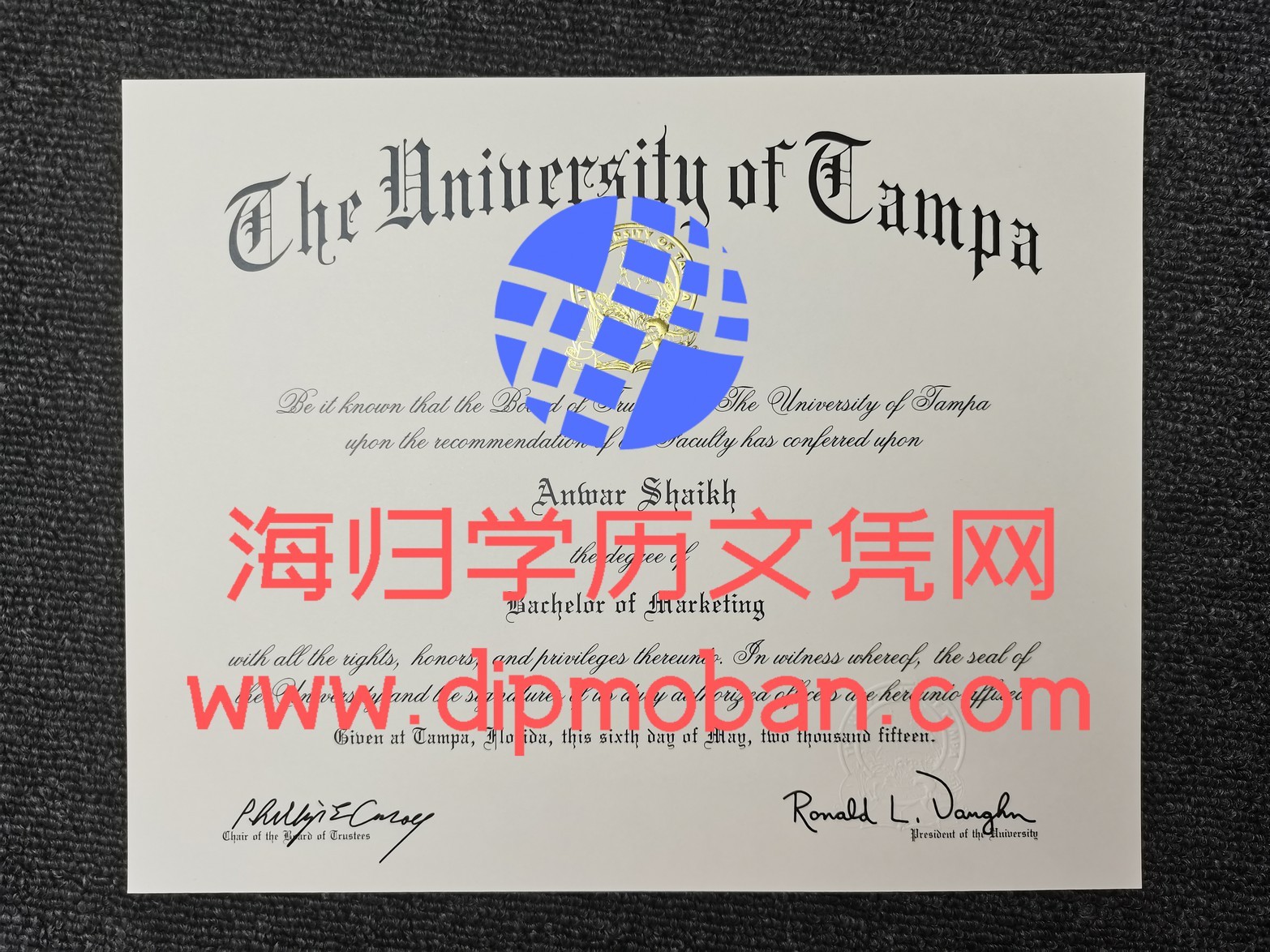 美国坦帕大学 美国坦帕大学