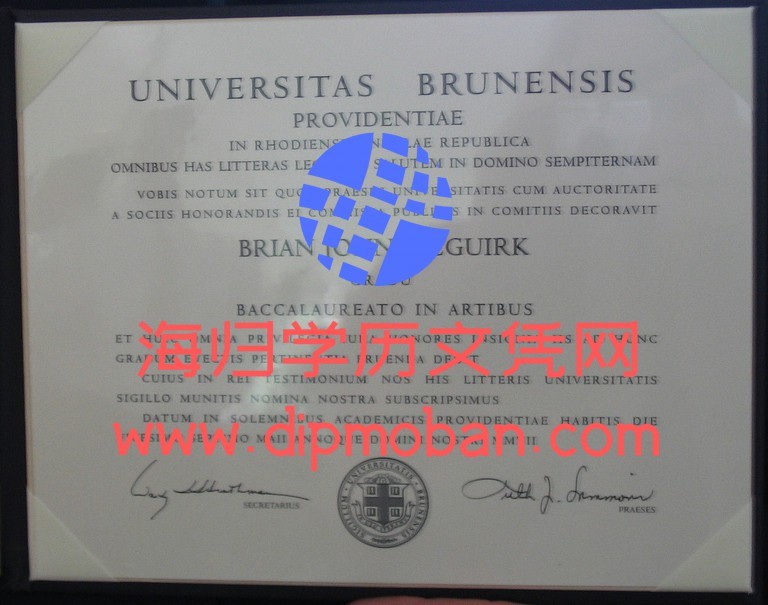 美国布朗大学 美国布朗大学