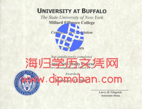 美国纽约州立大学水牛城分校 美国纽约州立大学水牛城分校