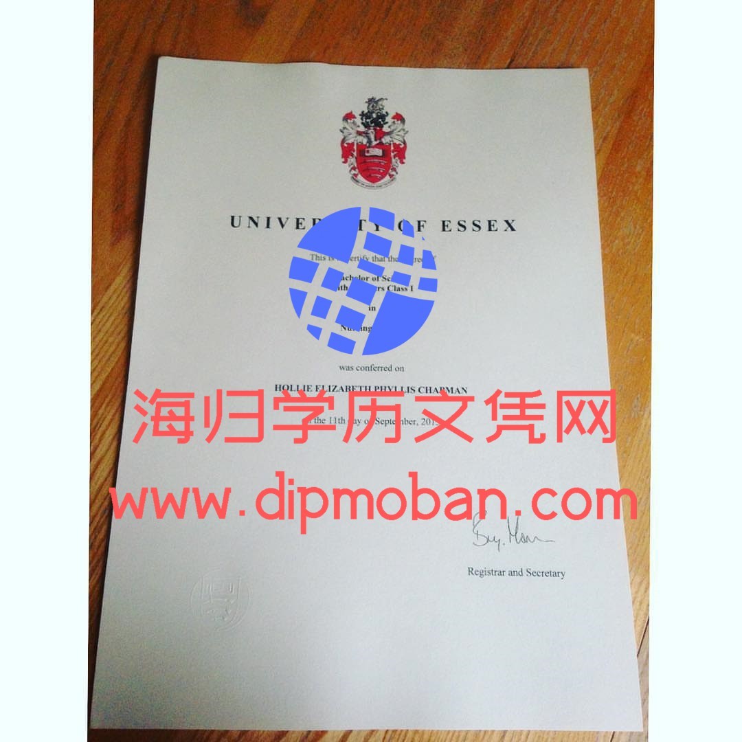 英国埃塞克斯大学