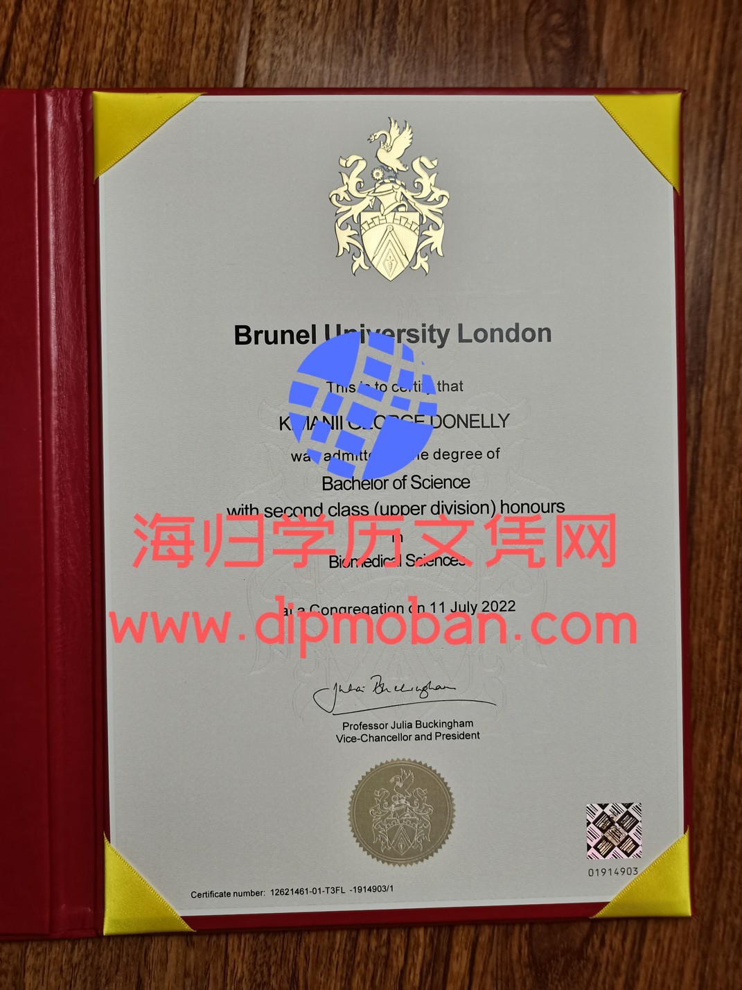 英国布鲁内尔大学