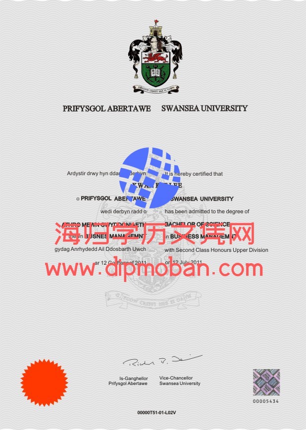 英国斯旺西大学 英国斯旺西大学