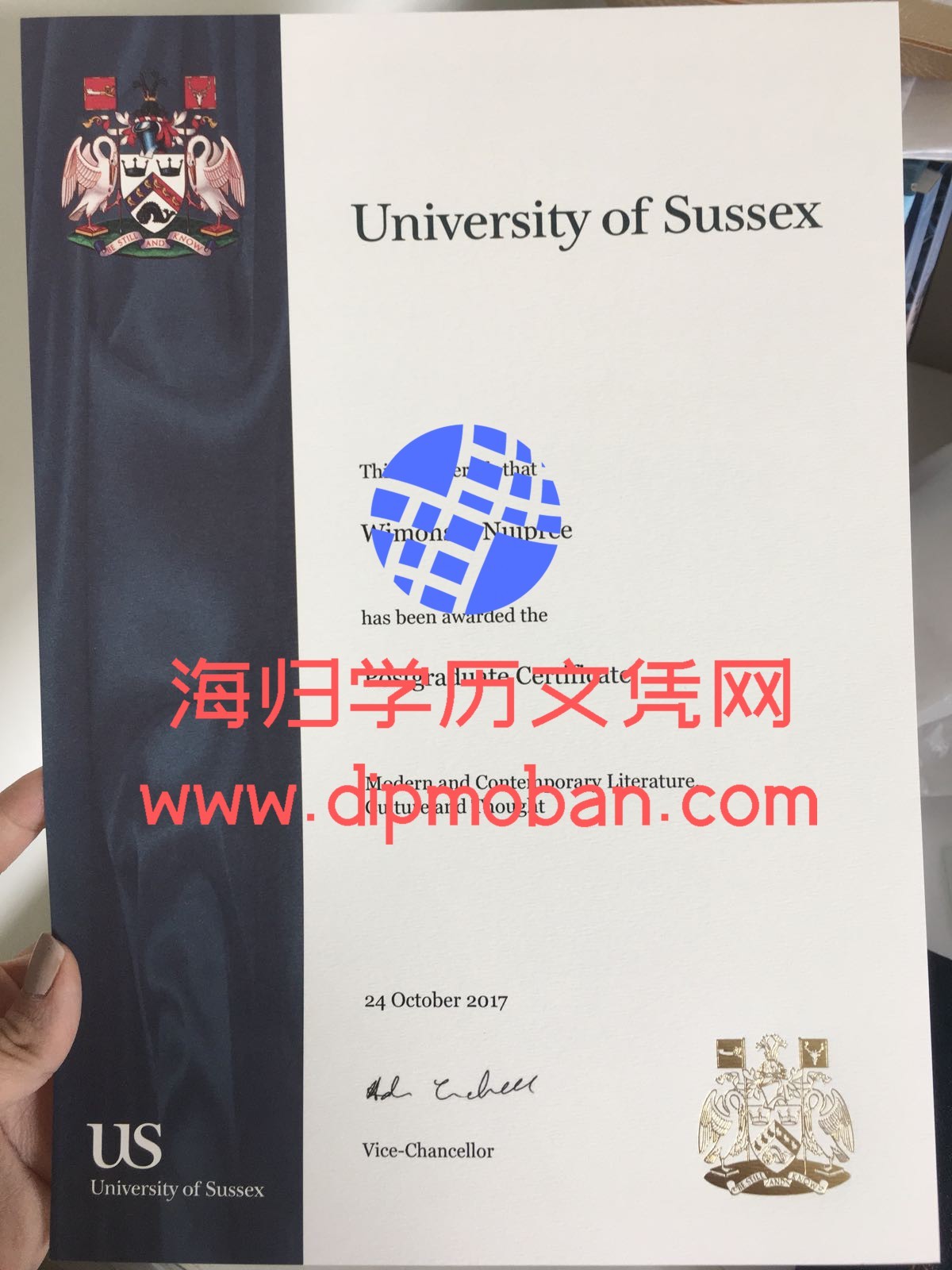 英国苏塞克斯大学 英国苏塞克斯大学
