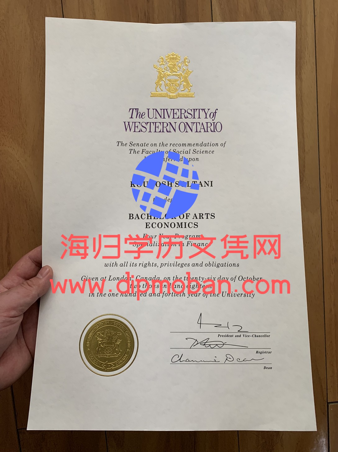 西安大略大学