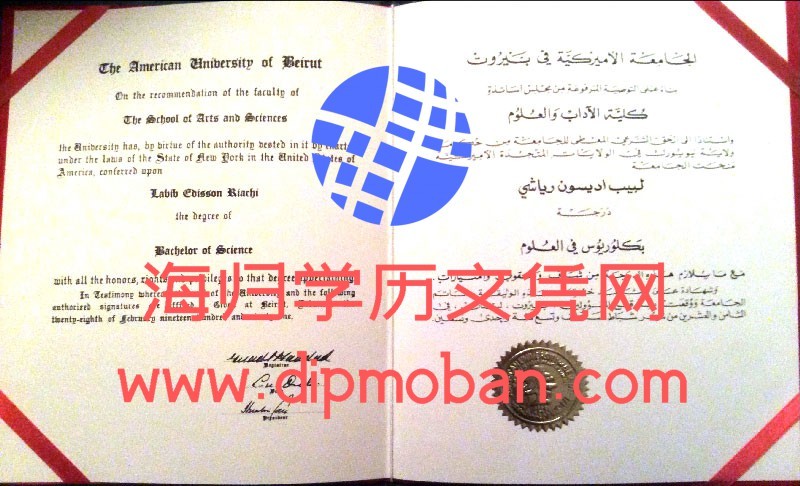 贝鲁特美国大学 贝鲁特美国大学