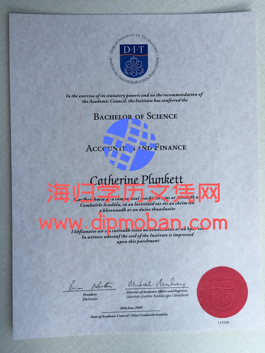 都柏林理工大学